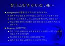 디지털 경제와 인터넷 비즈니스 전략 55페이지