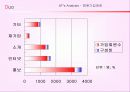 [마케팅] 결혼정보회사 듀오 마케팅 분석 21페이지