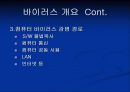 바이러스 제작 5페이지