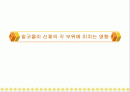 알코올이 신체의 각 부위에 미치는 영향 1페이지