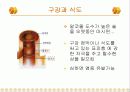 알코올이 신체의 각 부위에 미치는 영향 3페이지