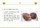 알코올이 신체의 각 부위에 미치는 영향 7페이지