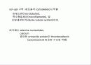 지혈체계의 기본적 생리 10페이지