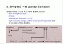 지혈체계의 기본적 생리 41페이지