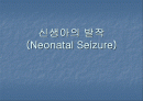 신생아의 발작 (Neonatal Seizure) 1페이지