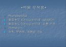 신생아의 발작 (Neonatal Seizure) 18페이지