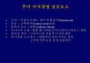 ELAND 지식경영 11페이지