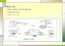 당뇨병과운동처방 5페이지