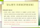 당뇨병과운동처방 15페이지