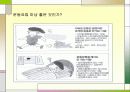 당뇨병과운동처방 19페이지