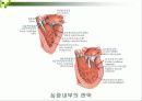 운동생리학 순환계(운동중반응) 9페이지