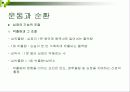 운동생리학 순환계(운동중반응) 16페이지