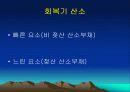 운동대사-운동 후 회복 10페이지