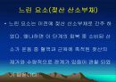 운동대사-운동 후 회복 13페이지