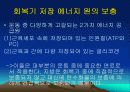 운동대사-운동 후 회복 22페이지