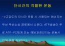 운동대사-운동 후 회복 31페이지