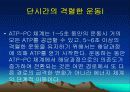 운동대사-운동 후 회복 32페이지