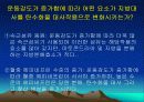 운동대사-운동 후 회복 44페이지