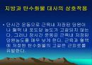 운동대사-운동 후 회복 46페이지