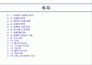 근거리 통신망(LOCAL  AREA NETWORKING) 2페이지