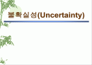 불확실성(Uncertainty) 1페이지