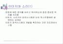 문헌과 질의의 형태 20페이지