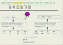 수학과 정보보호학의 미래 7페이지