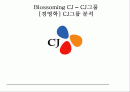 [경영학] CJ그룹 분석 1페이지