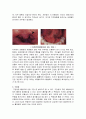 흡연에 관해서 13페이지