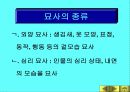 황순원과 소나기의 작품 이해 15페이지