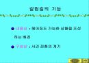 황순원과 소나기의 작품 이해 31페이지