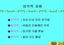 황순원과 소나기의 작품 이해 39페이지