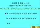 황순원과 소나기의 작품 이해 64페이지