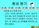 황순원과 소나기의 작품 이해 90페이지