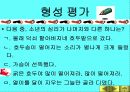황순원과 소나기의 작품 이해 98페이지