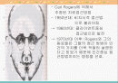 클라이언트중심모델 파워포인트 2페이지