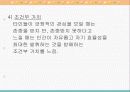 클라이언트중심모델 파워포인트 14페이지