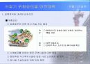 계절별 안전관리 및 안전대책 (해빙기, 하절기, 동절기) 13페이지