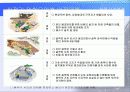 계절별 안전관리 및 안전대책 (해빙기, 하절기, 동절기) 14페이지