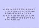 광고언어의 이해 13페이지