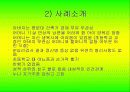 사례로 본 가족역동성 19페이지