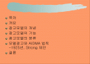 광고모델의 기능 2페이지