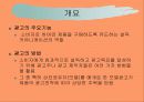 광고모델의 기능 3페이지