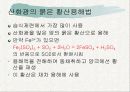 구리에 대해서 10페이지