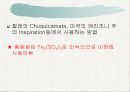 구리에 대해서 11페이지