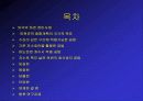 자연형 하천의 공법과 실제 사례에 관한 연구보고 3페이지