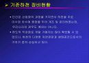 자연형 하천의 공법과 실제 사례에 관한 연구보고 14페이지