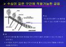 자연형 하천의 공법과 실제 사례에 관한 연구보고 20페이지