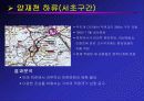 자연형 하천의 공법과 실제 사례에 관한 연구보고 29페이지