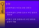 정신지체인의 전환교육과 평생교육 3페이지